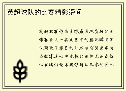 英超球队的比赛精彩瞬间